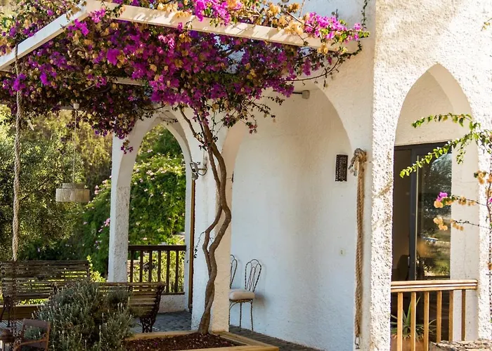 Casa Pausada Canas Y Barro