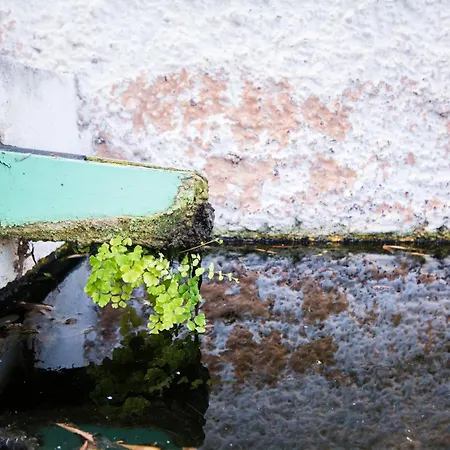 Casa Pausada Canas Y Barro 펜션 San Juan de la Rambla