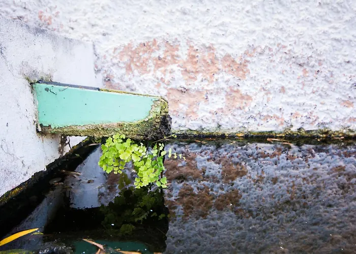 Casa Pausada Canas Y Barro Dom wakacyjny San Juan de la Rambla